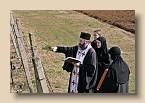 P1010323 (Medium)